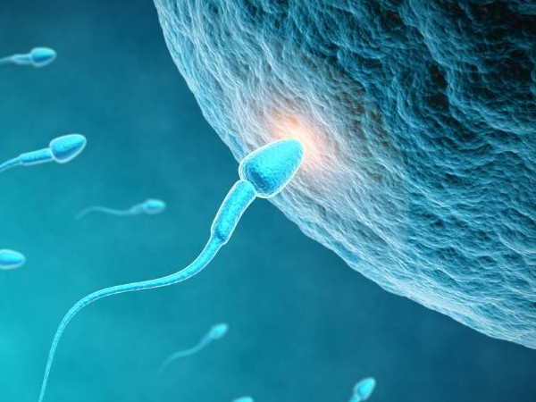 卵巢多囊促排卵可以怀孕吗&试管包机联系电话,40岁绝经了还能试管吗？生殖医