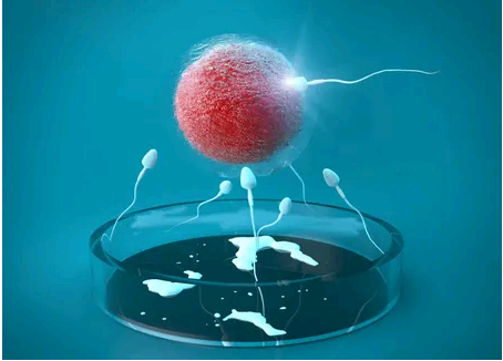 卵排不出来影响下次怀孕不&中度弱精试管成功,新生儿频繁吐奶是怎么回事？可