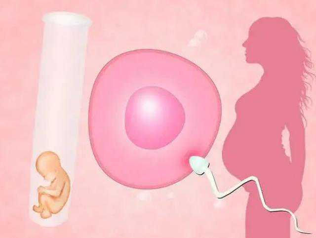 48岁卵巢早衰自愈案例&供卵一孕妈妈,孕期补充叶酸的量
