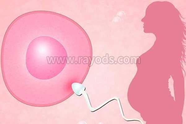 贵阳靠谱代怀机构,试管婴儿有哪几种移植的胚胎？哪种成功率最高?_辅助生殖中
