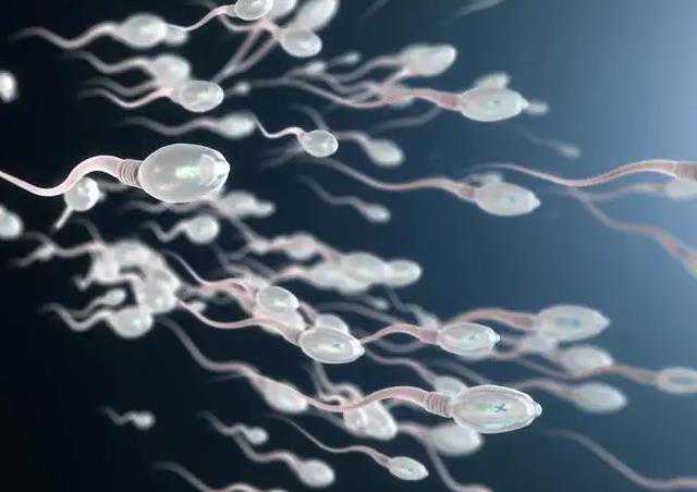 贵阳供卵成功经验 2022贵阳可提供供精人工授精的医院有哪些 ‘孕妇b超单怎么